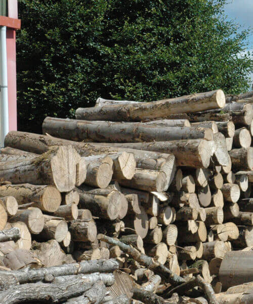 Timber Seasoning Kiln